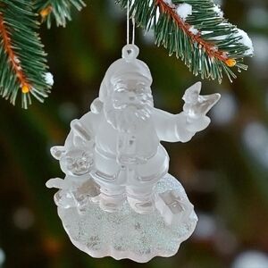 Frosted Acrylic Santa Ornament with Puppy & Bird – 3" Christmas Decoration